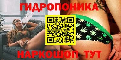 гидропоника Заволжье