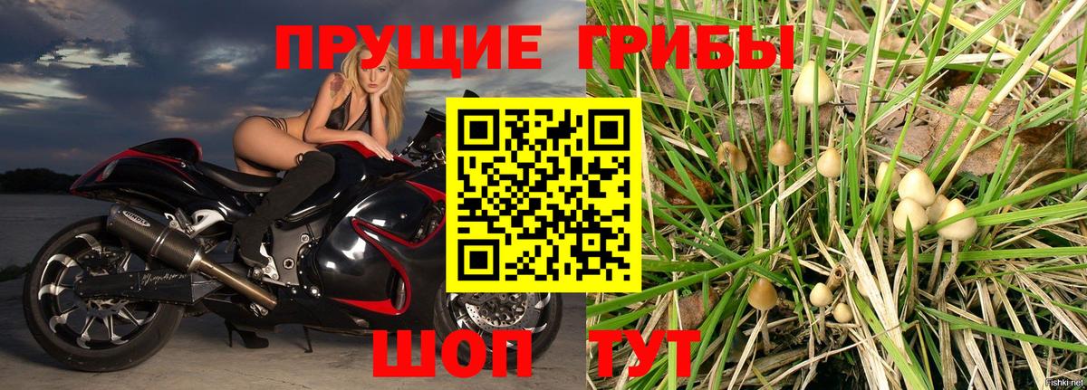 Псилоцибиновые грибы Psilocybe  Вход с VPN  Кыштым 