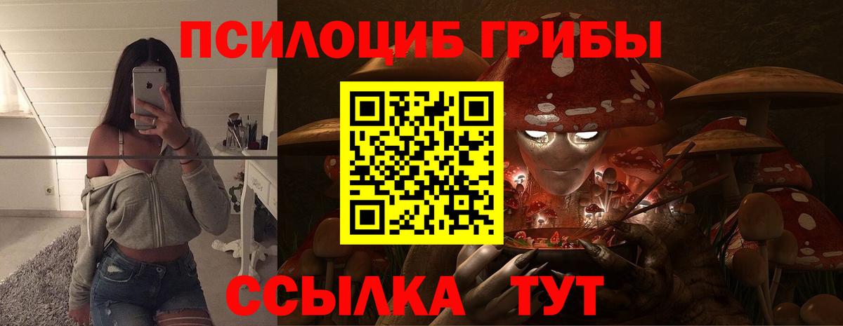 Псилоцибиновые грибы Psilocybe Кыштым
